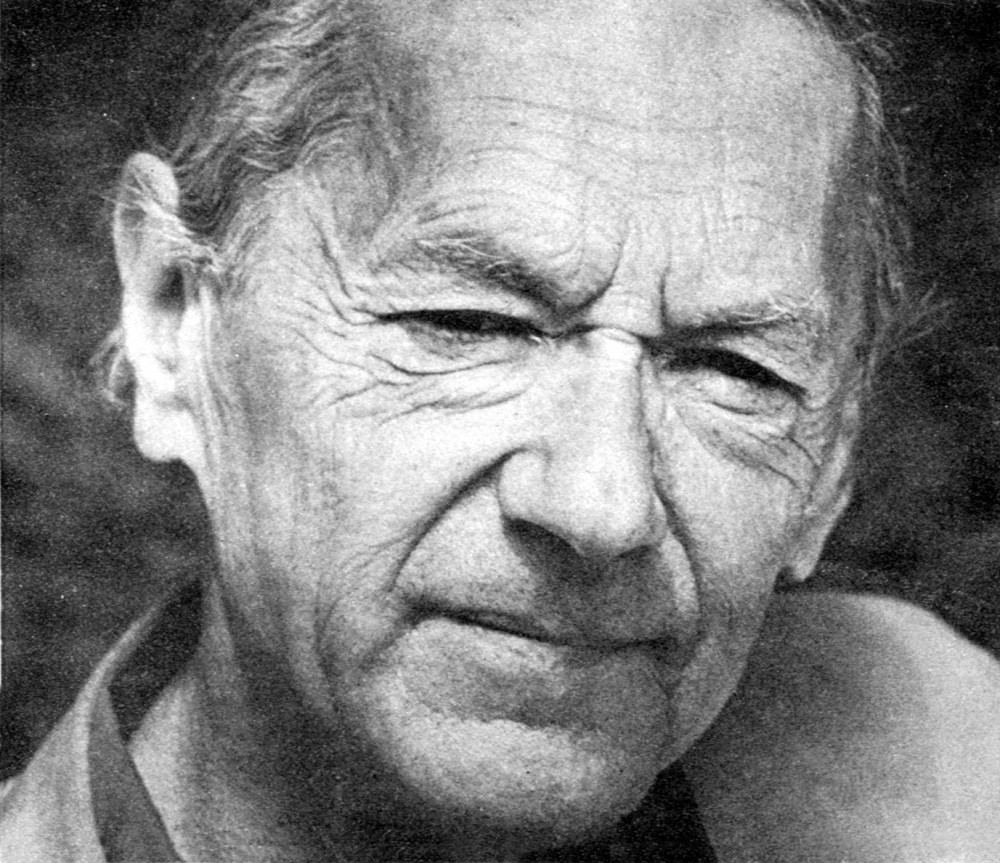 Andrzej Kusniewicz