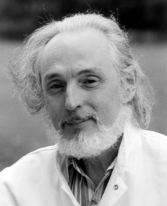 Julien Burgonde