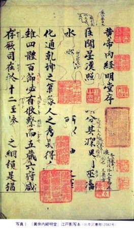 Lu Nei