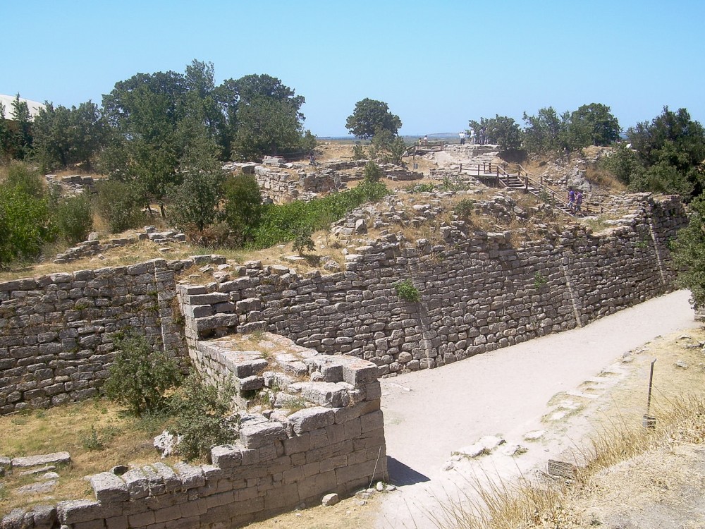 Maria Cecilia D'ercole