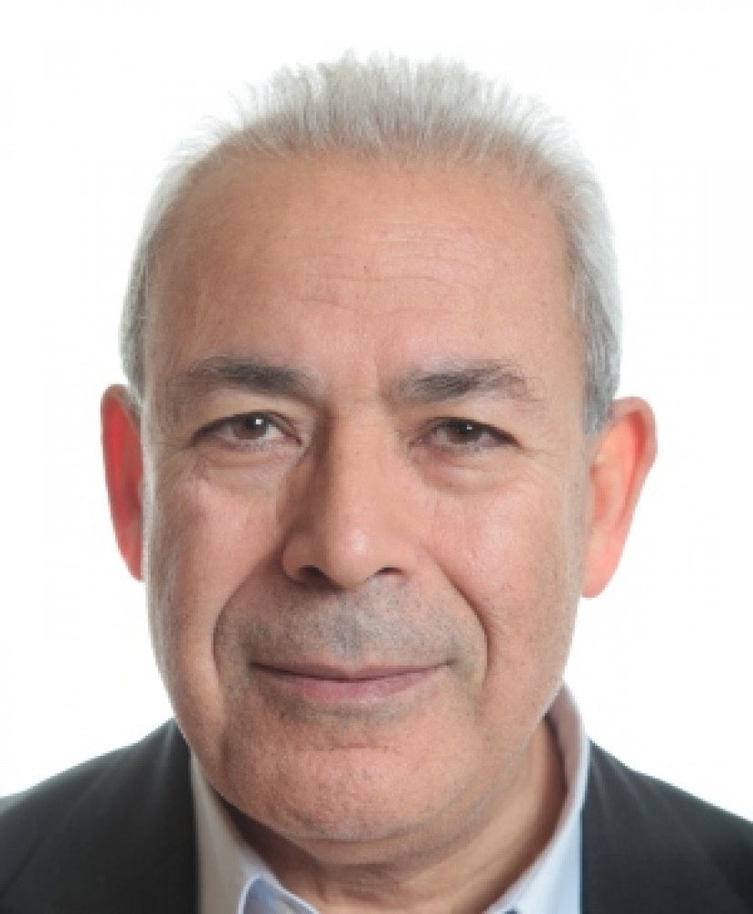 Nevine Abdel Moeim Mossaad