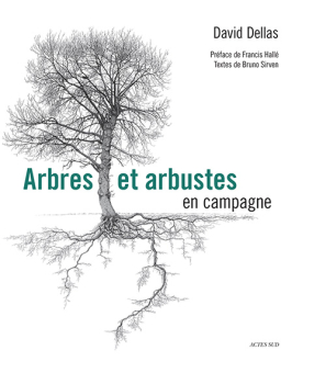 Hallé — Actes Sud