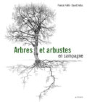 Hallé — Actes Sud
