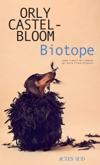 Castel-Bloom — Actes Sud