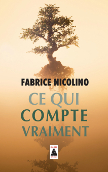 Nicolino — Babel