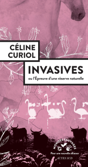 Curiol — Actes Sud
