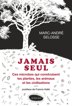 Hallé — Actes Sud