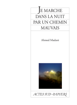 Je marche dans la nuit par un chemin mau