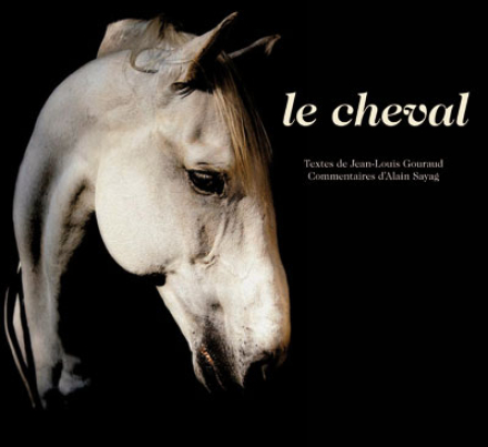 Gouraud — Actes Sud