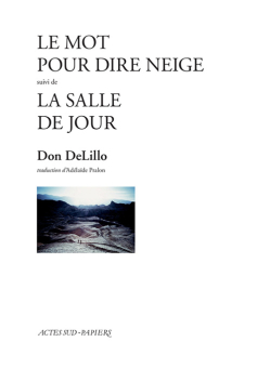 Delillo — Actes Sud