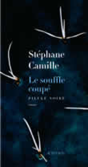 Camille — Actes Sud