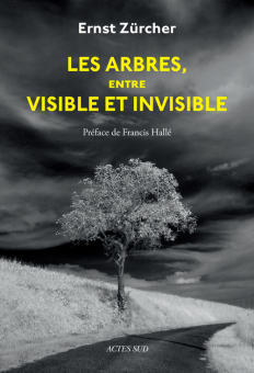Hallé — Actes Sud