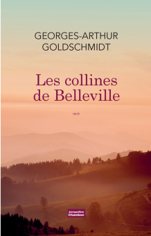 Goldschmidt — Actes Sud