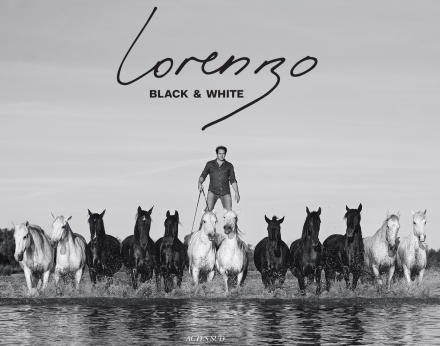 Dessagne — Actes Sud